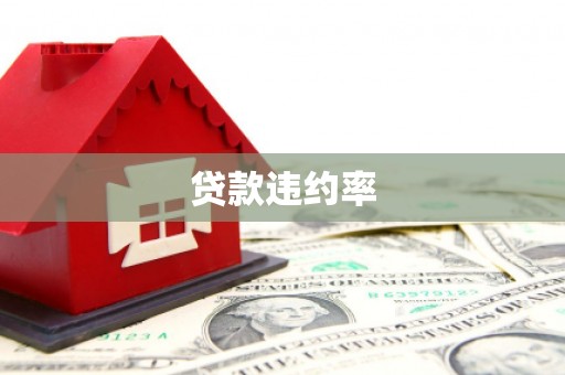 周宁贷款违约率