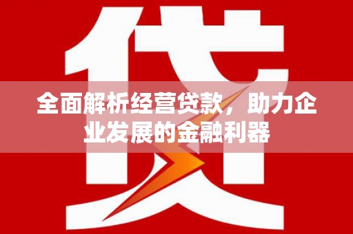 周宁全面解析经营贷款，助力企业发展的金融利器