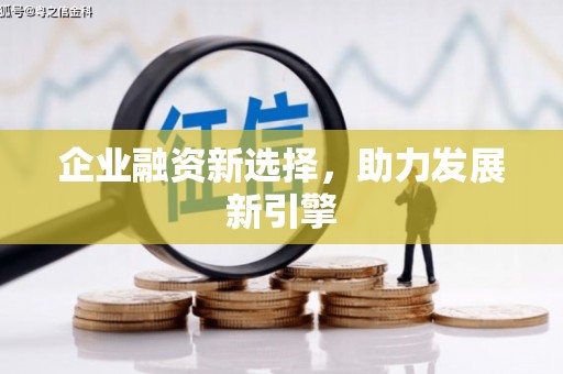 周宁企业融资新选择，助力发展新引擎