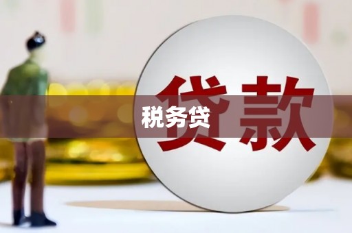 周宁税务贷