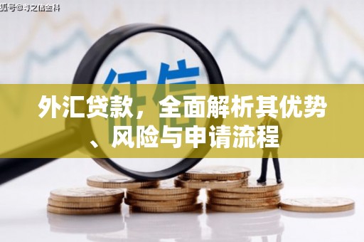 周宁外汇贷款，全面解析其优势、风险与申请流程