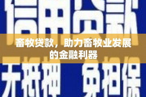 周宁畜牧贷款，助力畜牧业发展的金融利器