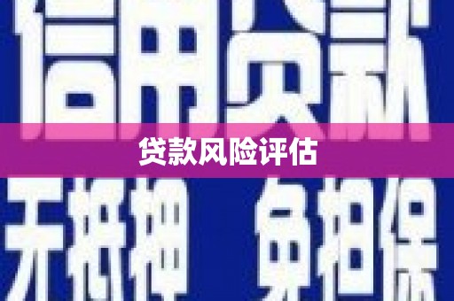 周宁贷款风险评估