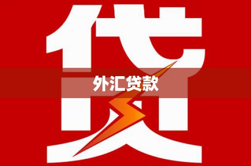 周宁外汇贷款