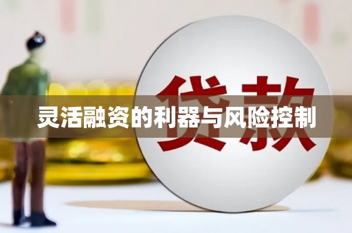 周宁灵活融资的利器与风险控制