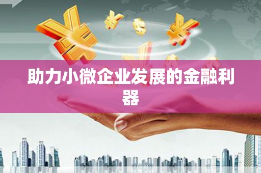 周宁助力小微企业发展的金融利器