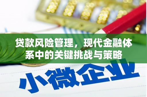 周宁贷款风险管理，现代金融体系中的关键挑战与策略
