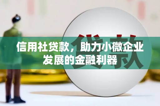 周宁信用社贷款，助力小微企业发展的金融利器