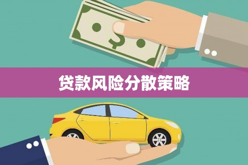 周宁贷款风险分散策略