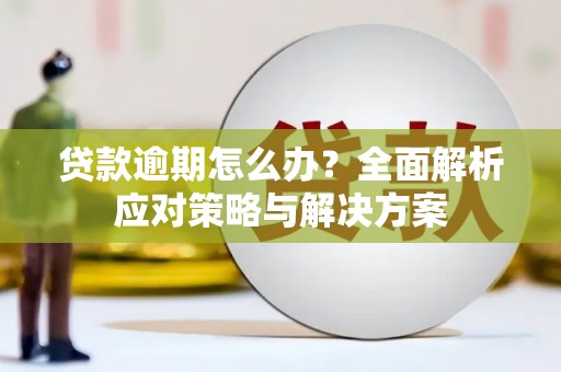 周宁贷款逾期怎么办？全面解析应对策略与解决方案