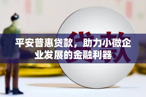 周宁平安普惠贷款，助力小微企业发展的金融利器