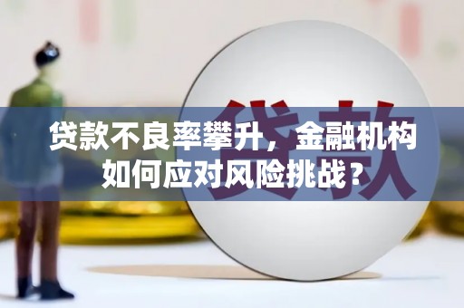 周宁贷款不良率攀升，金融机构如何应对风险挑战？