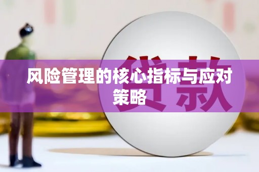 周宁风险管理的核心指标与应对策略