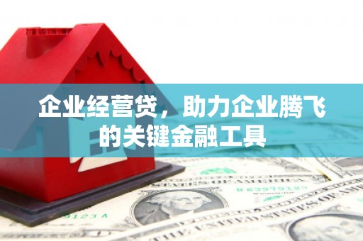 周宁企业经营贷，助力企业腾飞的关键金融工具