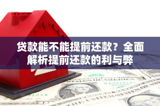 周宁贷款能不能提前还款？全面解析提前还款的利与弊