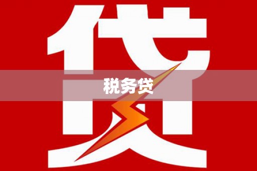 周宁税务贷