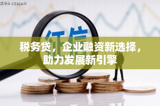 周宁税务贷，企业融资新选择，助力发展新引擎