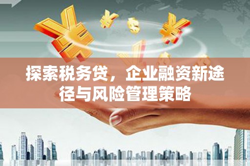 周宁探索税务贷，企业融资新途径与风险管理策略
