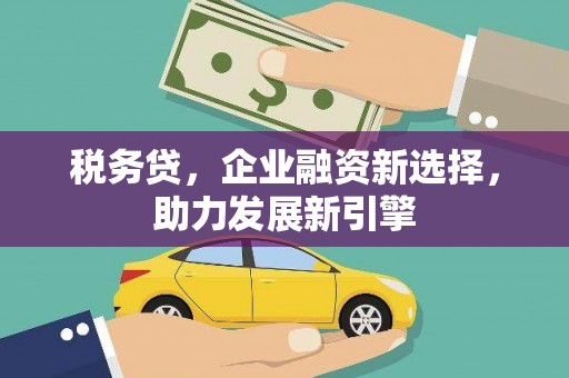 周宁税务贷，企业融资新选择，助力发展新引擎