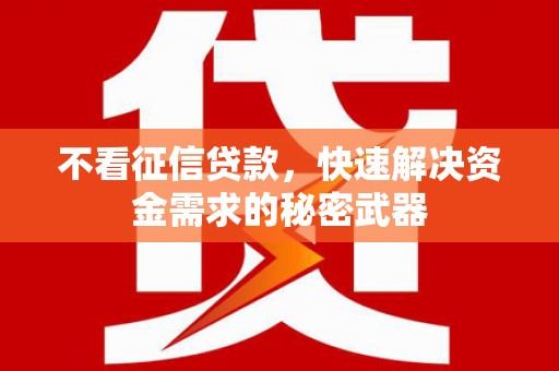 周宁不看征信贷款，快速解决资金需求的秘密武器