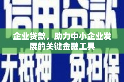 周宁企业贷款，助力中小企业发展的关键金融工具