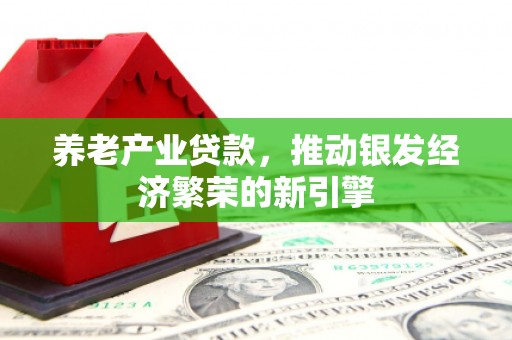 周宁养老产业贷款，推动银发经济繁荣的新引擎