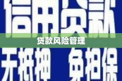 周宁贷款风险管理