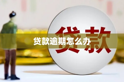 周宁贷款逾期怎么办