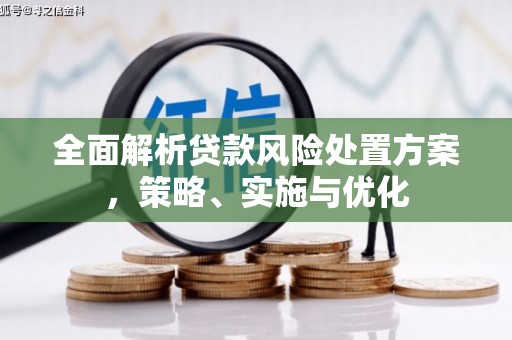 周宁全面解析贷款风险处置方案，策略、实施与优化