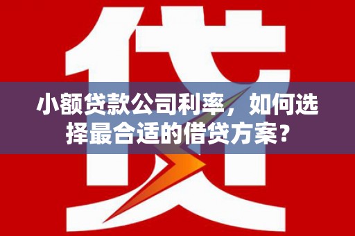 周宁小额贷款公司利率，如何选择最合适的借贷方案？