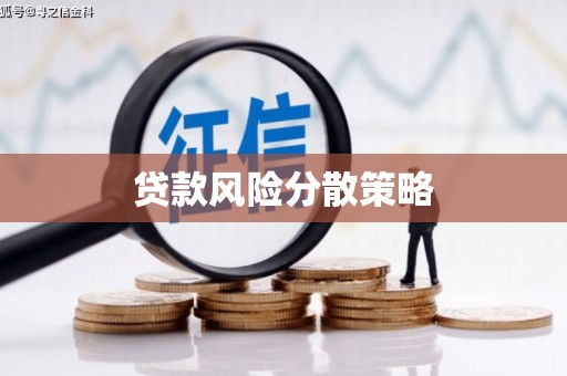 周宁贷款风险分散策略
