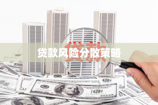 周宁贷款风险分散策略