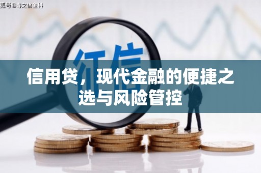 周宁信用贷，现代金融的便捷之选与风险管控