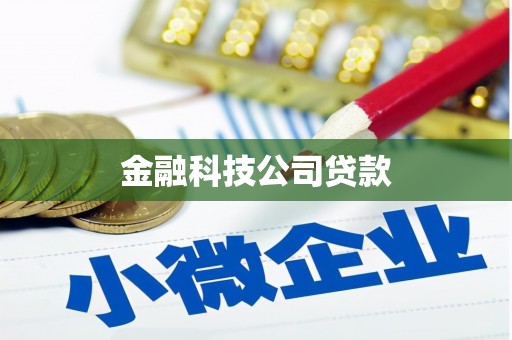 周宁金融科技公司贷款