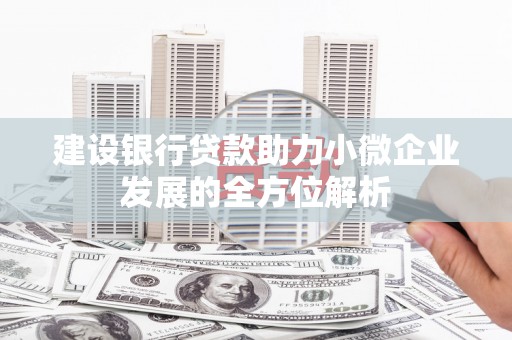 周宁建设银行贷款助力小微企业发展的全方位解析