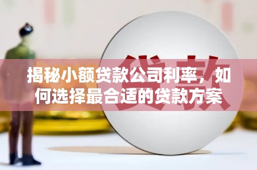 周宁揭秘小额贷款公司利率，如何选择最合适的贷款方案