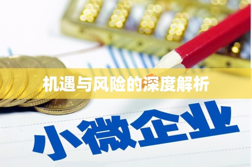 周宁机遇与风险的深度解析