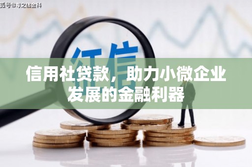 周宁信用社贷款，助力小微企业发展的金融利器