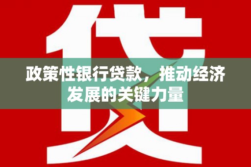 周宁政策性银行贷款，推动经济发展的关键力量