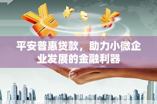周宁平安普惠贷款，助力小微企业发展的金融利器