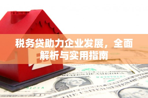 周宁税务贷助力企业发展，全面解析与实用指南