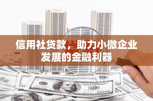 周宁信用社贷款，助力小微企业发展的金融利器