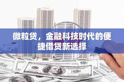周宁微粒贷，金融科技时代的便捷借贷新选择