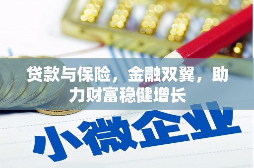 周宁贷款与保险，金融双翼，助力财富稳健增长