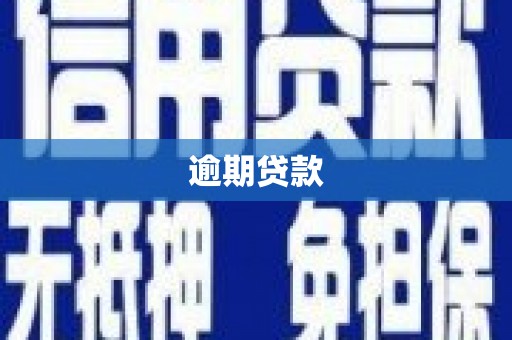 周宁逾期贷款