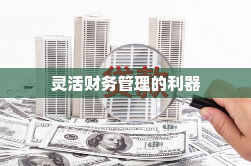 周宁灵活财务管理的利器