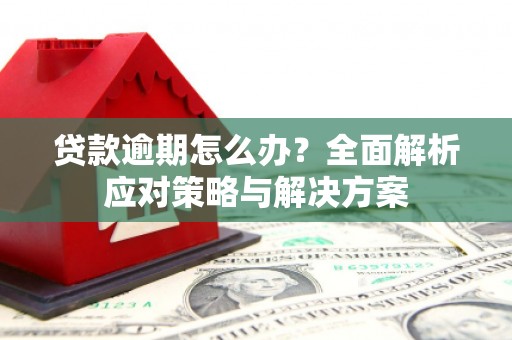 周宁贷款逾期怎么办？全面解析应对策略与解决方案