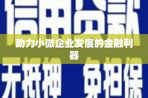 周宁助力小微企业发展的金融利器