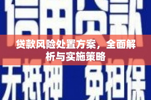 周宁贷款风险处置方案，全面解析与实施策略