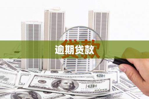 周宁逾期贷款